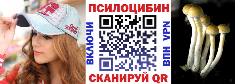 Псилоцибиновые грибы мухоморы  где купить наркоту  Минеральные Воды 